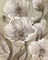 Scripted Beauty II Poster Print by Elizabeth Medley - Item # VARPDX9786E